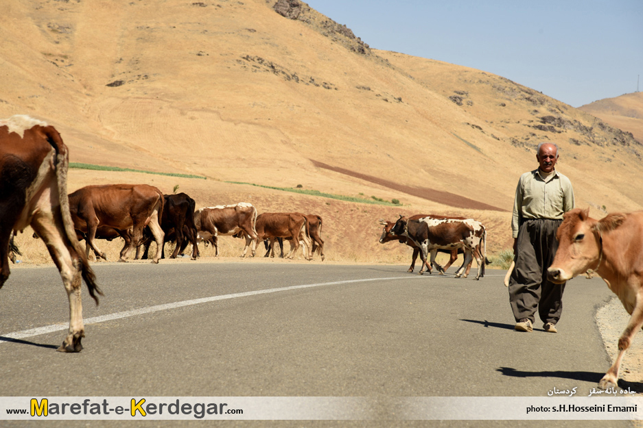 جاده های کردستان